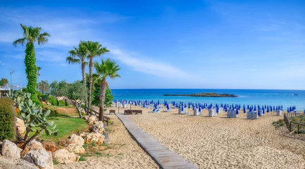 Tuinposter Cyprus Landscape with Fig Tree Bay in Protaras, Cyprus