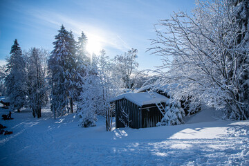 Winter in Norway 