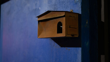 bird house on a tree
