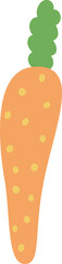 Carrot decorative design elements