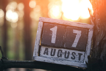 August 17, summer month, wooden calendar stands branch in forest against background bright sunset.