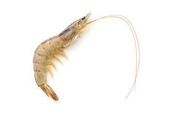 Fresh shrimp isolated on white background ,top view ,flat lay.