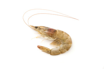 Fresh shrimp isolated on white background ,top view ,flat lay.