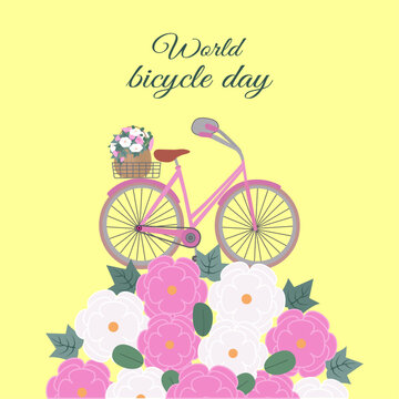 World Bicycle Day. Postcard, congratulation, background. Pink vintage, women's bike, brown wicker basket on the rear wheel, with pink and white flowers. Bicycle on a ball of pink and white flowers.