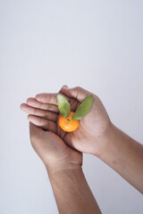 oranges held by two hand.