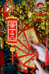 Faith and religion. Buddhism.