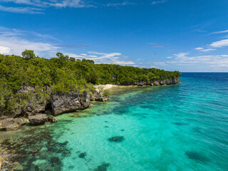Fototapeta na wymiar Seascape: Beautiful beach and tropical island. Siquijor, Philippines. Generative AI