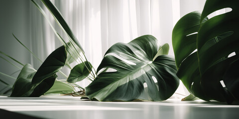 Tropical leaves interior decoration, plants in sunny room, healthy space. AI generative