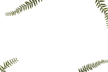 Obraz premium background-나뭇잎_03