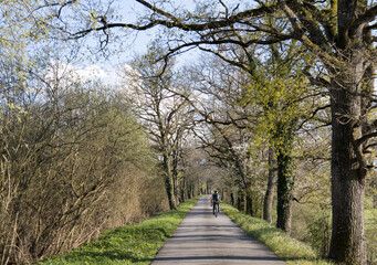 Fototapeta na wymiar cycliste sur une route au printemps