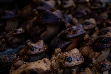 Large number of frog figurines