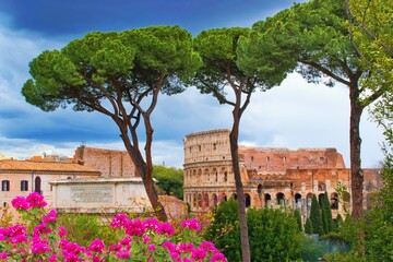 Colosseum, Roma, Italy viewed from Palatine Hill - obrazy, fototapety, plakaty