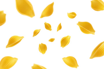 Falling raw Conchiglie Rigate, uncooked Italian Pasta, isolated on white background, selective focus