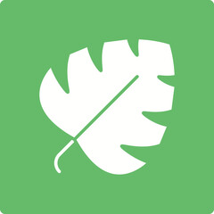 Fototapeta premium Monstera Icon
