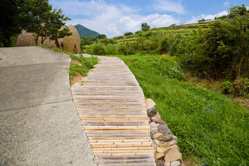 Rice terraces or Senmaida in Shodoshima island, Shikoku.