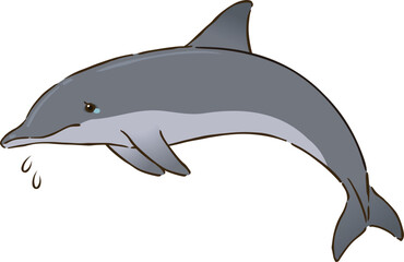 悲しむバンドウイルカ