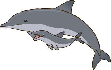 バンドウイルカの親子