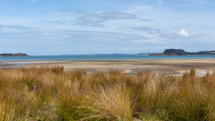 Kawakawa Beach at low tide, sunny day, Auckland