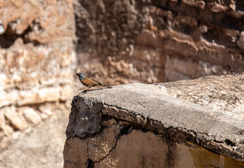 Welcome to Marrakesh