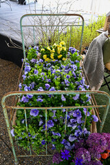 Fototapete bei efototapeten.de bestellen   