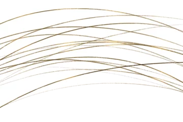  ゴールドのブラシ・筆を使った曲線装飾がメインの和風白背景素材 © drhead