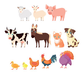 Fototapeta premium Farm animals set in cartoon style isolated on white background. Vector illustration. Cute animals collection: sheep, goat, pig, cow, horse, cat, dog, duck, chick, chicken, rooster, turkey.