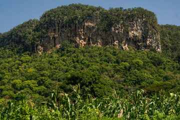 Fototapeta na wymiar Mogotes, paisaje, vegetacion, Cuba, Viñales