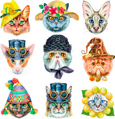 Set of portraits of cats of different breeds with accessories. Watercolor hand drawn illustration