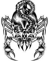 Scorion Tattoo Human Skull