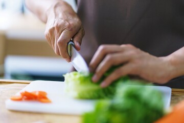 Prepare food  woman is preparing vegetable salad in the kitchen Healthy Food Healthy Cooking