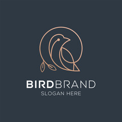 Bird vector logo. Fancy bird. Line vector logo design.