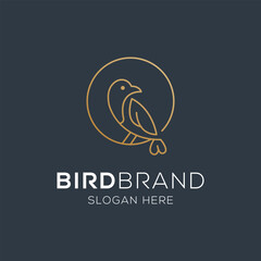 Bird vector logo. Fancy bird. Line vector logo design.