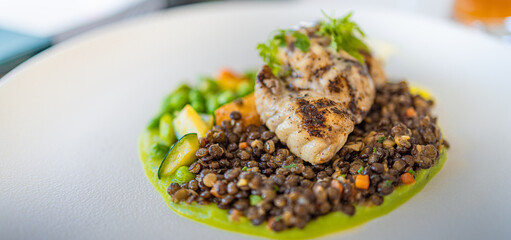 Grilled chicken, lentil salad and green beans carrots on white plate. Abstract gourmet closeup with lentil sauce and cooked vegetables