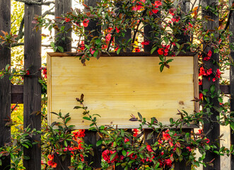 Fototapeta na wymiar empty wooden board attached to a wooden fence with red flower