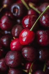 Cherries. Cherry background. Fruit background. Wet cherry with leaves and drops.