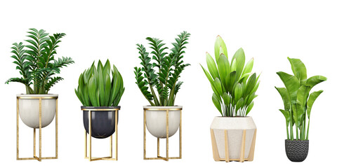 Set of Cut Out Transparent PNG Plant Images for Stunning Designs, 3D rendering, for illustration, digital composition and architecture visualization