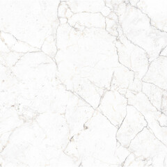 gray fine veined white marble background