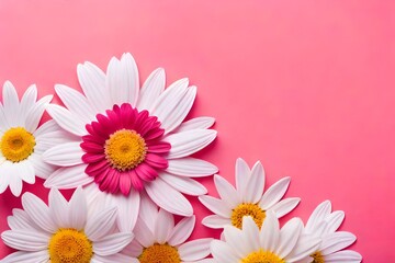 Top view white, pink and yellow flowers composition over pastel background with copy space