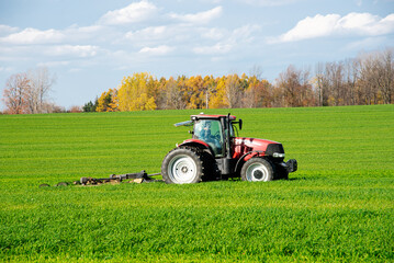 Close-up larger farm tractor with rotary cutter trailer on farmland meadow field, colorful fall...