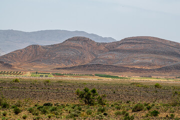 Curly Mountains 