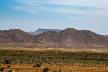 Curly Mountains 