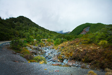 Rocky riverbed with evergreen trees on the banks. Ohukune Mountain Road, North Island, New Zealand