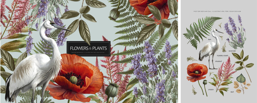 Naklejka Plants, flowers and bird. Vector classic illustration of poppy, crane, lavender, fern, leaf and wild flower for floral background, pattern or wedding invitation