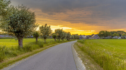 Dutch Village Landscape with Pollard Willows