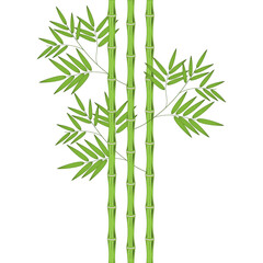 Bamboo shoots with leaves