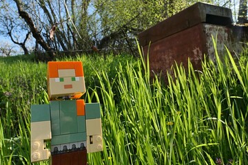 Fototapeta premium LEGO Minecraft toy figure of Alex standing next to fresh spring grass sunlit by afternoon sunshine.