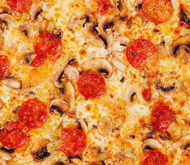 Salami and mushrooms pizza close up background