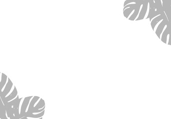 Obraz premium Abstract shadow black white leaf shadow on a white background. Blank copy space.