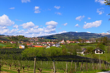 Apfeldorf Puch bei Weiz, an der steirischen Apfelstraße (12) © cagala