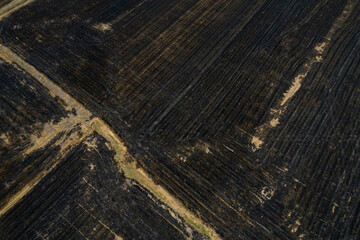 Fototapeta premium burn rice fields, aerial view from flying drone of Field rice, Forest fires